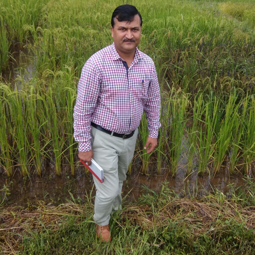 Dr. Sachin Upmanyu
