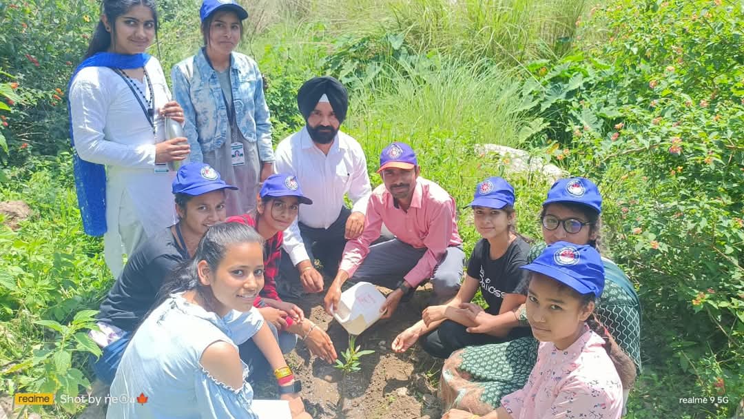 Tree Plantation Campaign