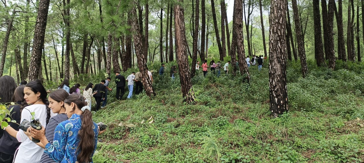 Tree Plantation Campaign